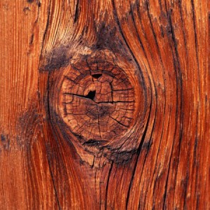 600_vista-wallpaper-knot-in-the-wood