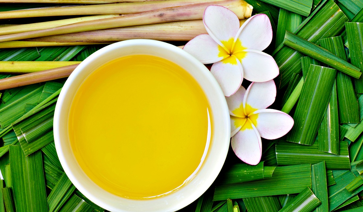 Saiba mais: Citronela e seus “poderes”