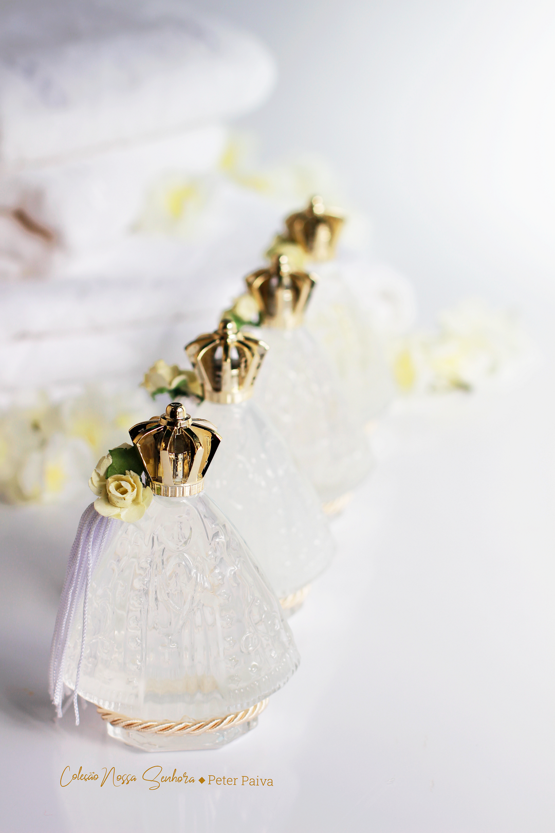 Col&ocirc;nia Nossa Senhora