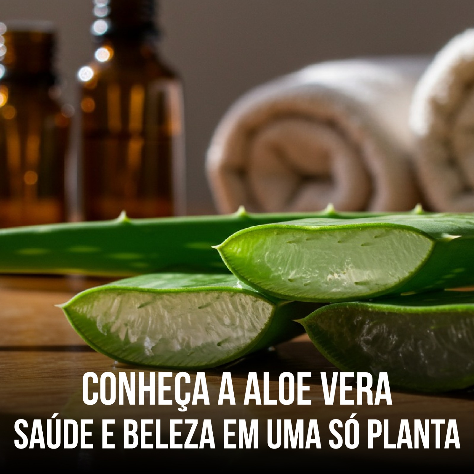 Conheça mais sobre Aloe Vera, a nossa Babosa, para saúde e beleza