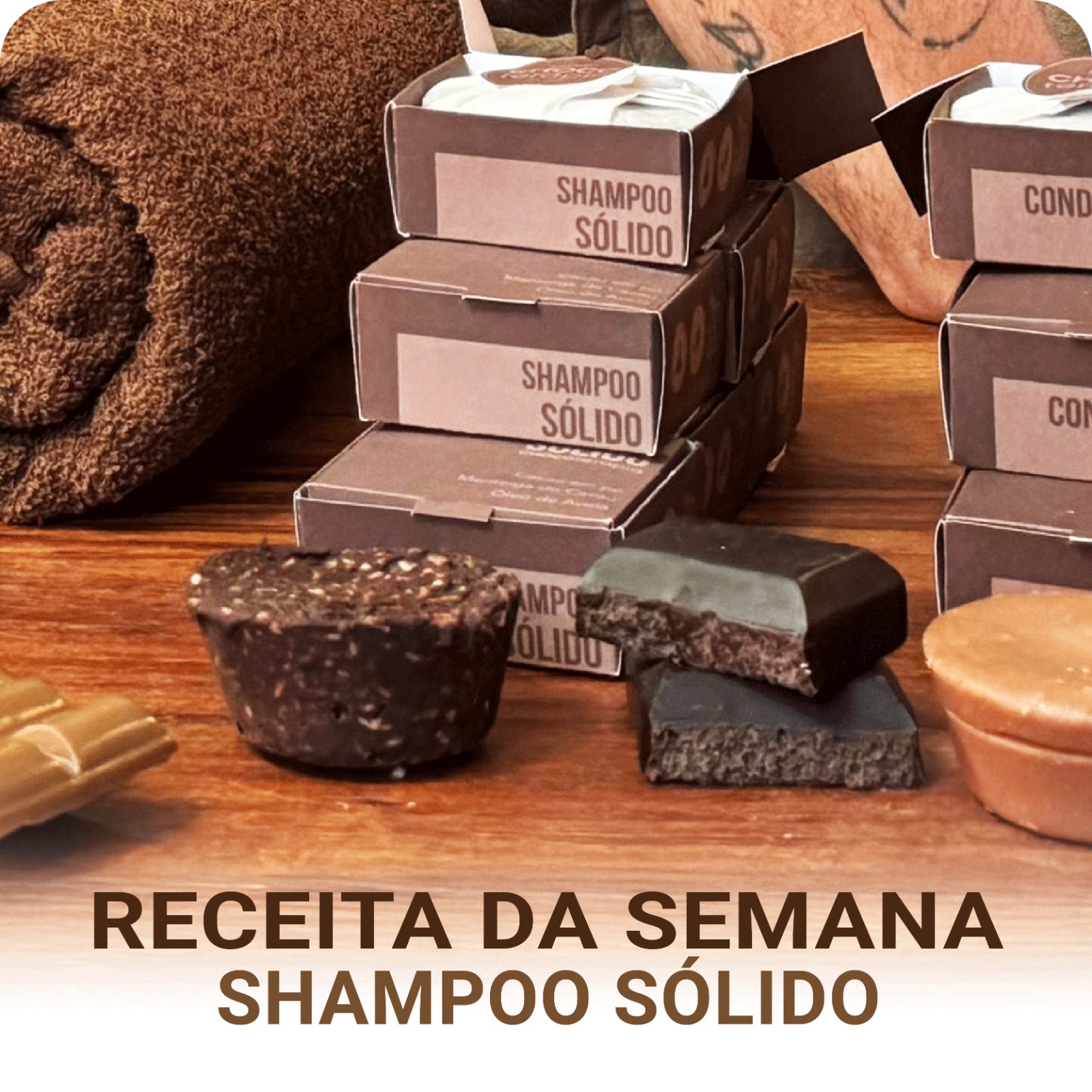 Shampoo Sólido