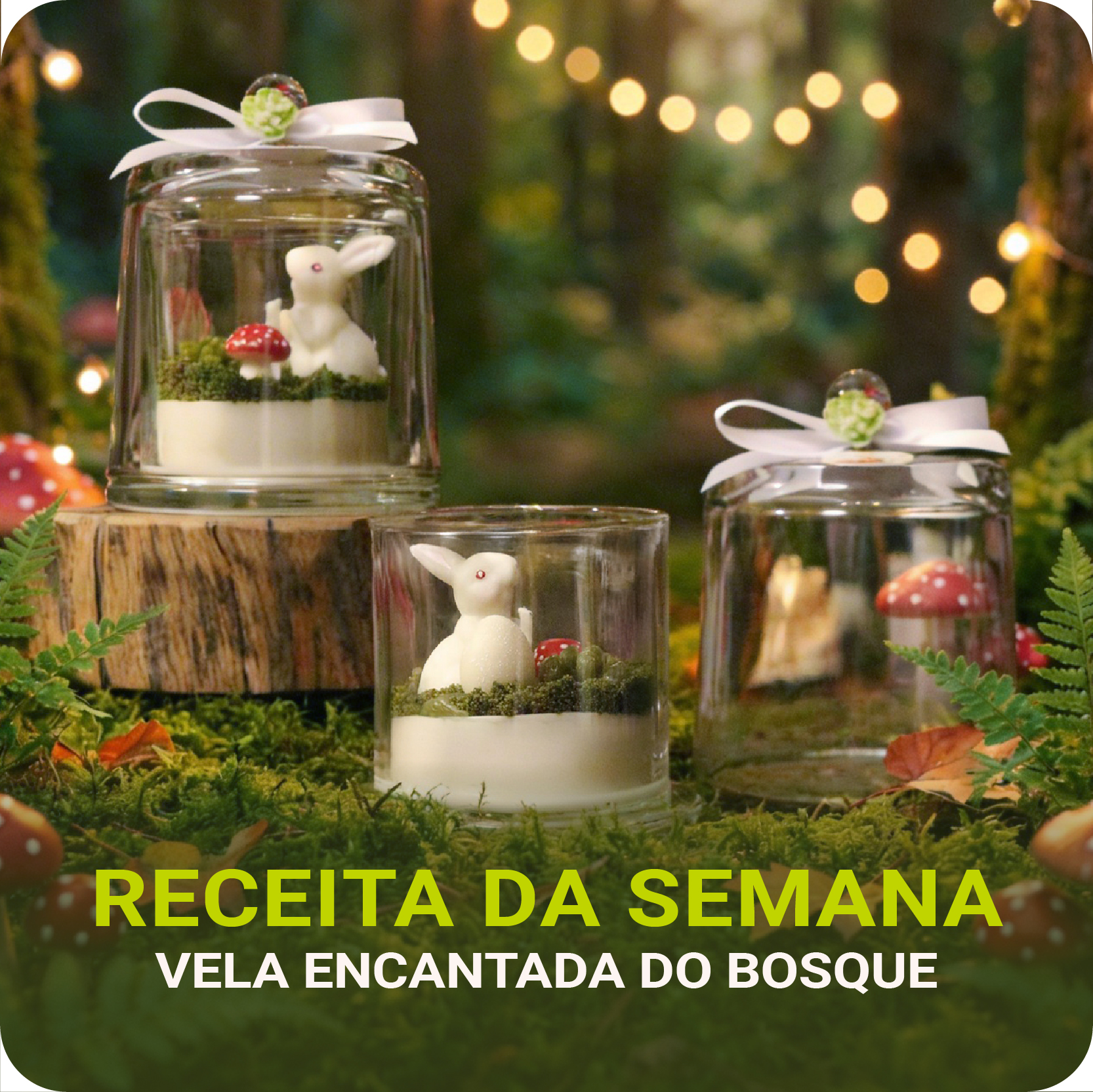 Vela Encantada do Bosque